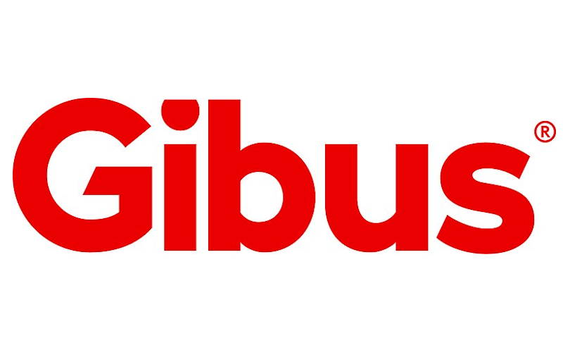 Gibus